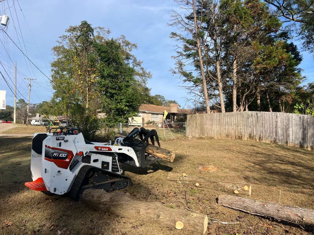 Stump Grinding & Removal